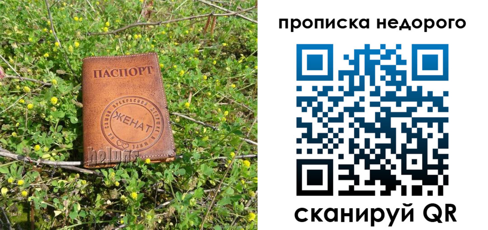 регистрация для дет. сада в Псковской области
